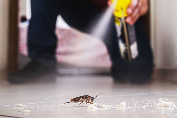 Best Pest Prevention Services  in Walton Hills, OH